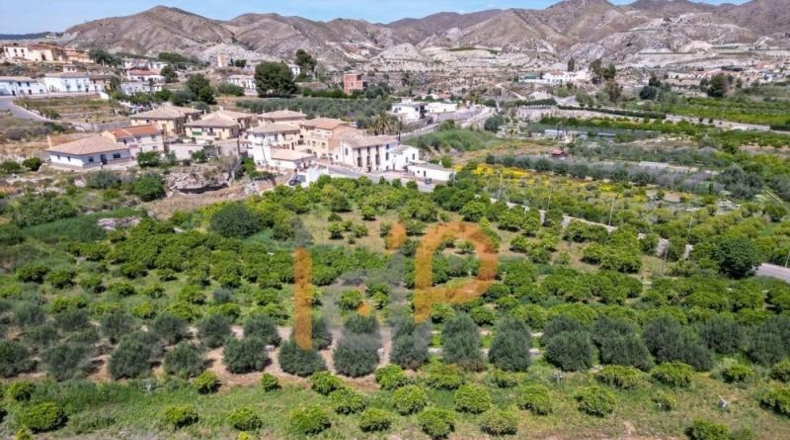 Almería - Arboleas - 2067m2