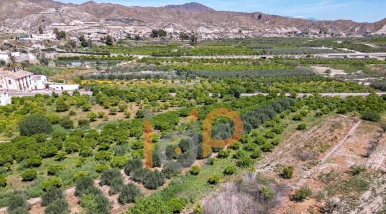 Almería - Arboleas - 2067m2