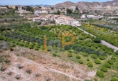 Terreny no urbanitzable en venda a la España, Arboleas, ref.: TR405538 foto