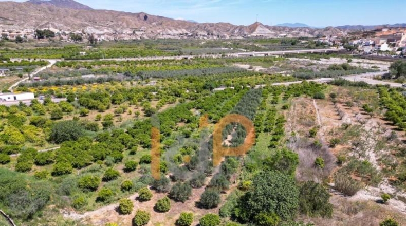 Almería - Arboleas - 2067m2