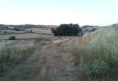 Land suitable for development for sale on España, Tórtola de Henares, ref: TR405537 photo