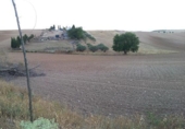 Land suitable for development for sale on España, Tórtola de Henares, ref: TR405537 photo