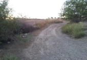 Land suitable for development for sale on España, Tórtola de Henares, ref: TR405537 photo