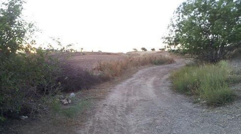 Guadalajara - Tórtola de Henares - 2162m2