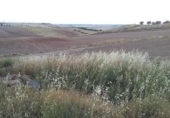 Land suitable for development for sale on España, Tórtola de Henares, ref: TR405537 photo