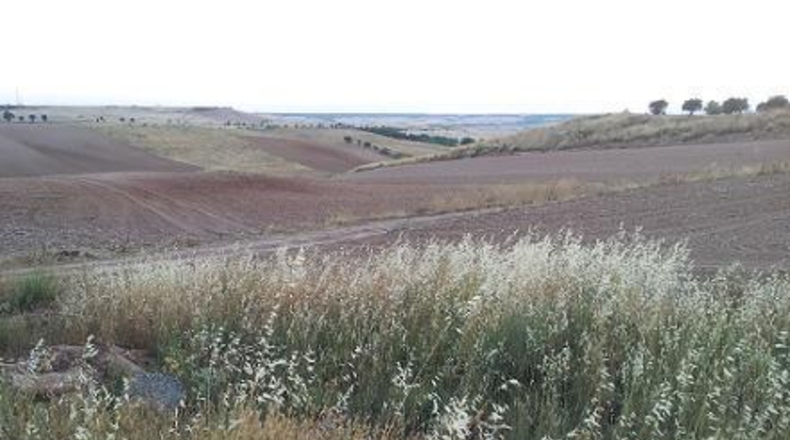 Guadalajara - Tórtola de Henares - 2162m2