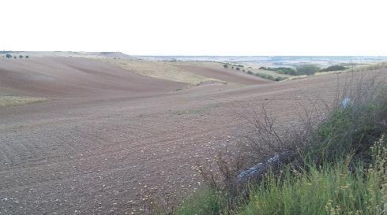 Guadalajara - Tórtola de Henares - 2162m2