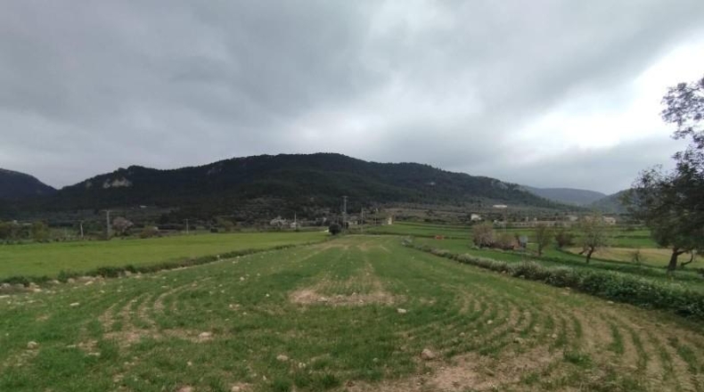Teruel - Peñarroya de Tastavins - 3325m2