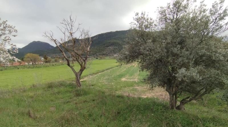 Teruel - Peñarroya de Tastavins - 3325m2