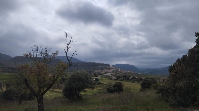 Teruel - Peñarroya de Tastavins - 3325m2