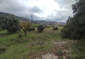 Xalet independent amb terreny en venda a la España, Pena-roja de Tastavins, ref.: TR405539 foto
