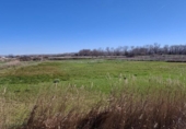 Non-developable land for sale on España, Oria, ref: TR404079 photo