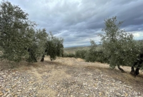 Хаэн 6&nbsp;м²