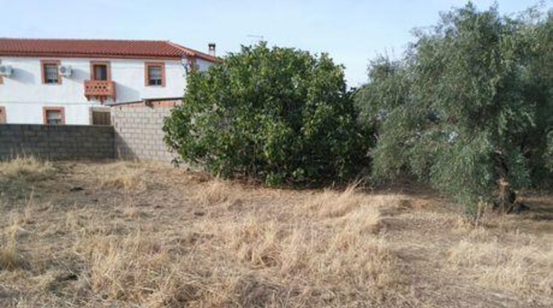 Cáceres - Santa Ana - 1574m2