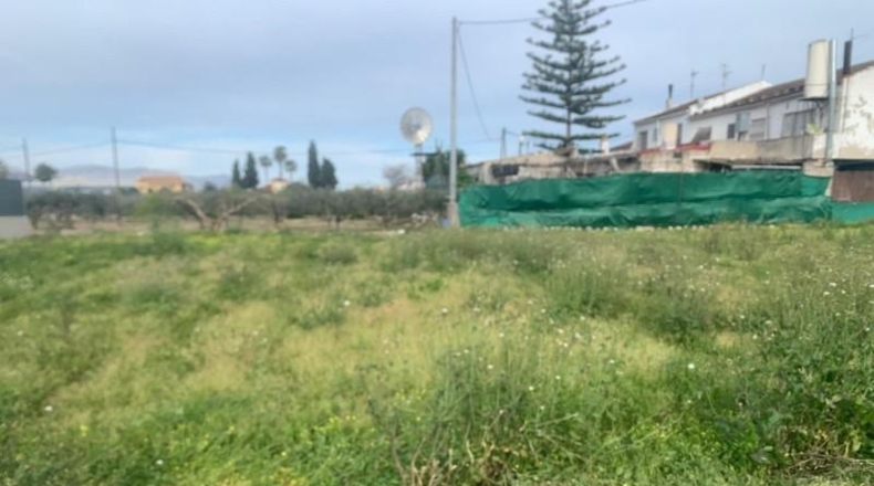 Murcia - Múrcia - 1000m2