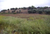 Terreno no urbanizable en venta en la España, Calasparra, ref: TR405546 foto