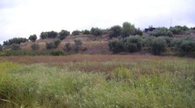 Murcia - Calasparra - 3877m2