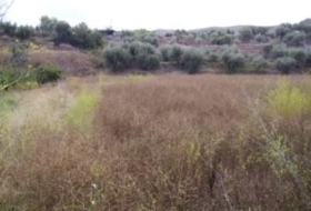 Calasparra 3877&nbsp;m² 