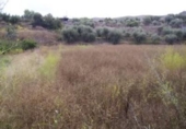 Terreno no urbanizable en venta en la España, Calasparra, ref: TR405546 foto
