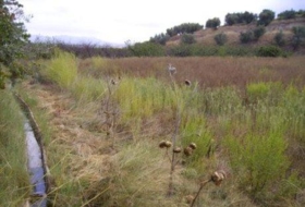 Calasparra 3877&nbsp;m² 