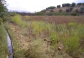 Terreno no urbanizable en venta en la España, Calasparra, ref: TR405546 foto