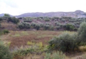 Terreno no urbanizable en venta en la España, Calasparra, ref: TR405546 foto