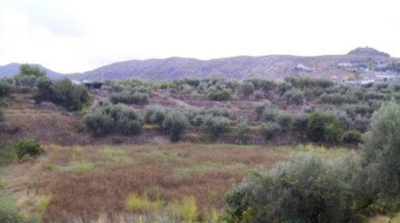Murcia - Calasparra - 3877m2