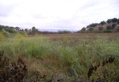 Terreno no urbanizable en venta en la España, Calasparra, ref: TR405546 foto