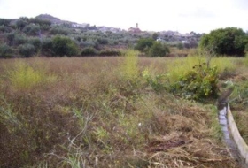 Calasparra 3877&nbsp;m² 