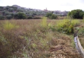 Terreno no urbanizable en venta en la España, Calasparra, ref: TR405546 foto