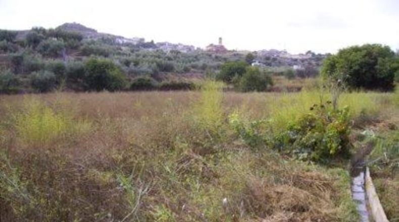 Murcia - Calasparra - 3877m2