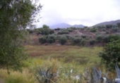 Terreno no urbanizable en venta en la España, Calasparra, ref: TR405546 foto