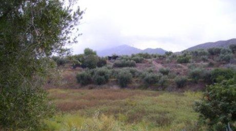 Murcia - Calasparra - 3877m2