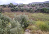 Terreno no urbanizable en venta en la España, Calasparra, ref: TR405546 foto