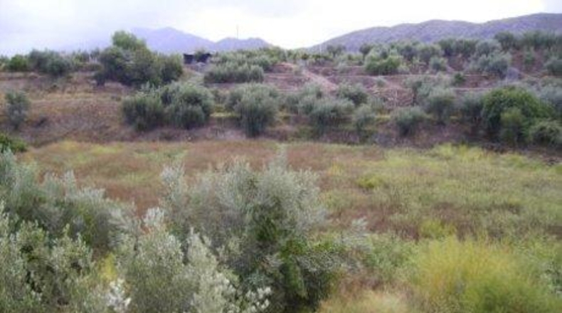 Murcia - Calasparra - 3877m2