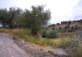 Terreno no urbanizable en venta en la España, Calasparra, ref: TR405546 foto