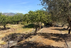 El Villar 3587&nbsp;m² 
