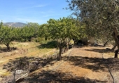 Земля на продажу у города Villar del Arzobispo Фото