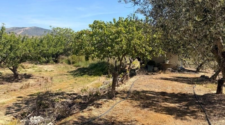 València - Villar del Arzobispo - 3587m2