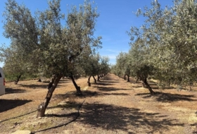El Villar 3587&nbsp;m² 