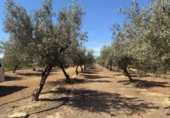 Земля на продажу у города Villar del Arzobispo Фото