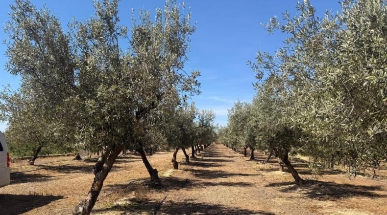 València - Villar del Arzobispo - 3587m2