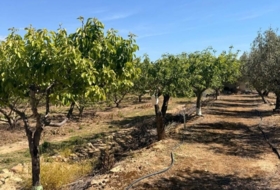 El Villar 3587&nbsp;m² 