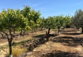 Земля на продажу у города Villar del Arzobispo Фото