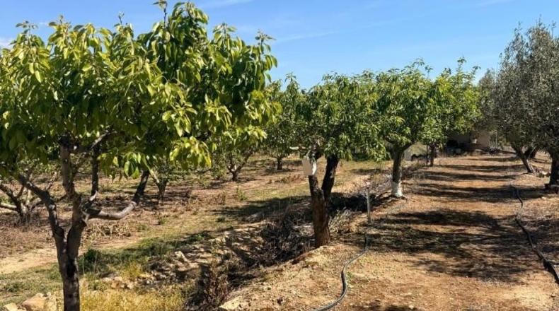 València - Villar del Arzobispo - 3587m2