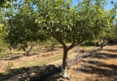 Земля на продажу у города Villar del Arzobispo Фото