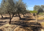 Земля на продажу у города Villar del Arzobispo Фото