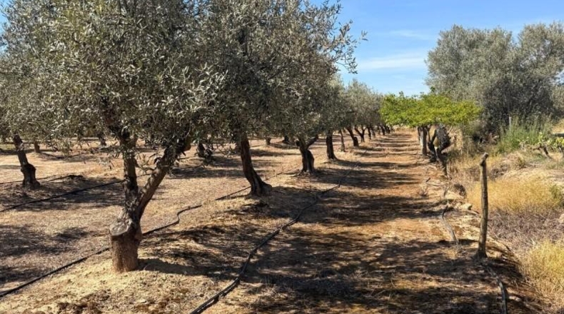 València - Villar del Arzobispo - 3587m2
