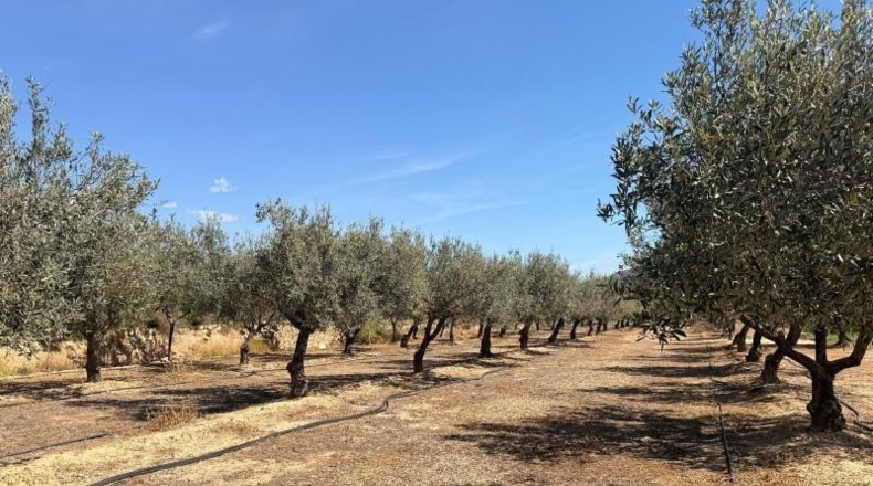 València - Villar del Arzobispo - 3587m2