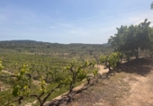 Земля на продажу у города Villar del Arzobispo Фото